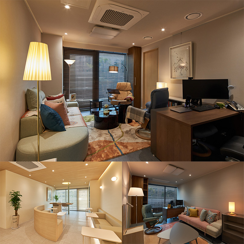 首尔延世大学精神健康医学系医院-1