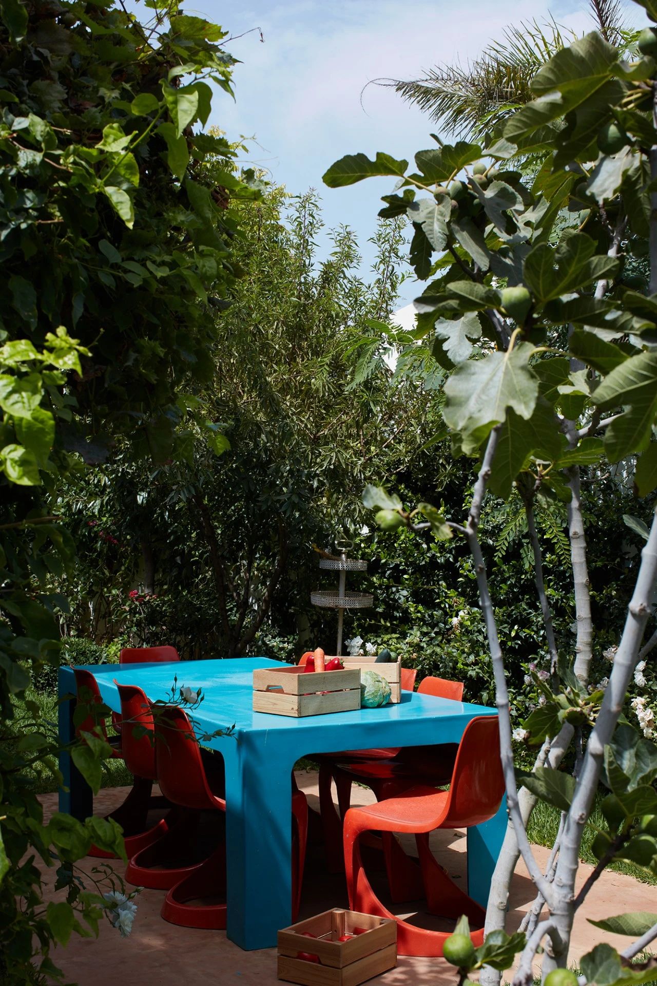 沉稳与活力的碰撞之美丨摩洛哥丨Crina Arghirescu-62