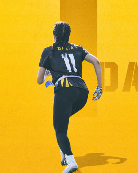 埃及国旗橄榄球联盟（EFFL）美式橄榄球项目