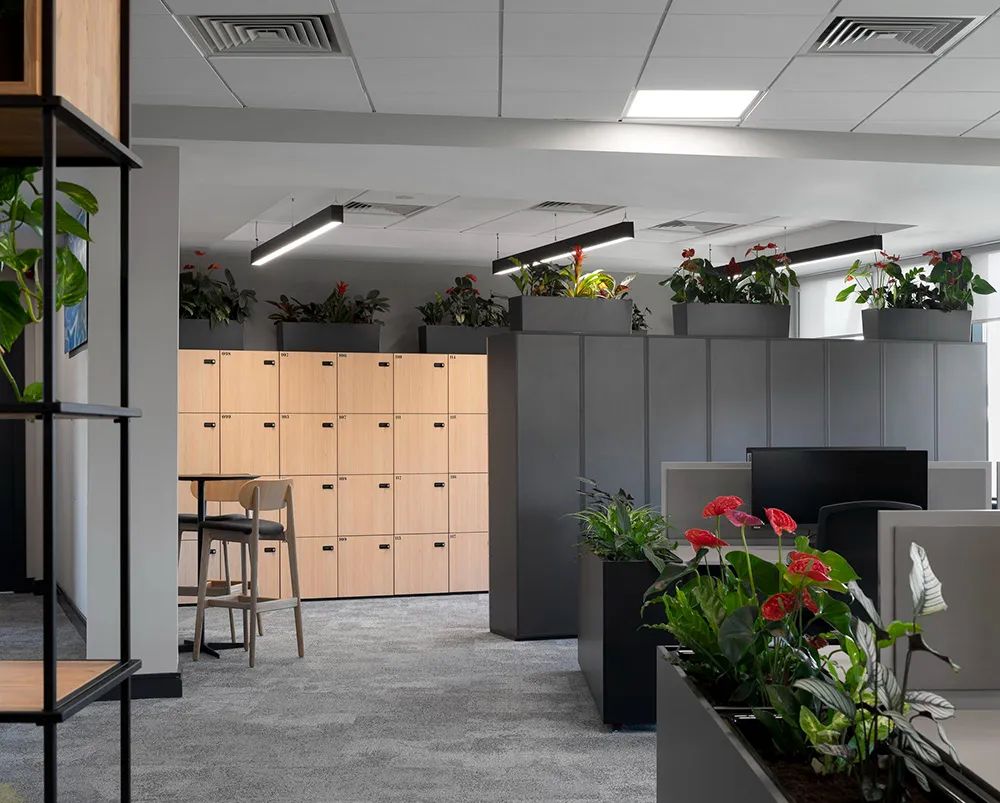 爱尔兰制药公司办公空间-12