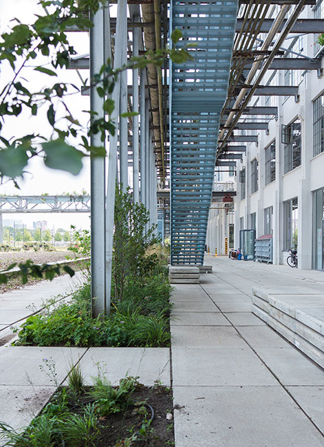 荷兰 Strijp S 工业区改造丨Trudo-13