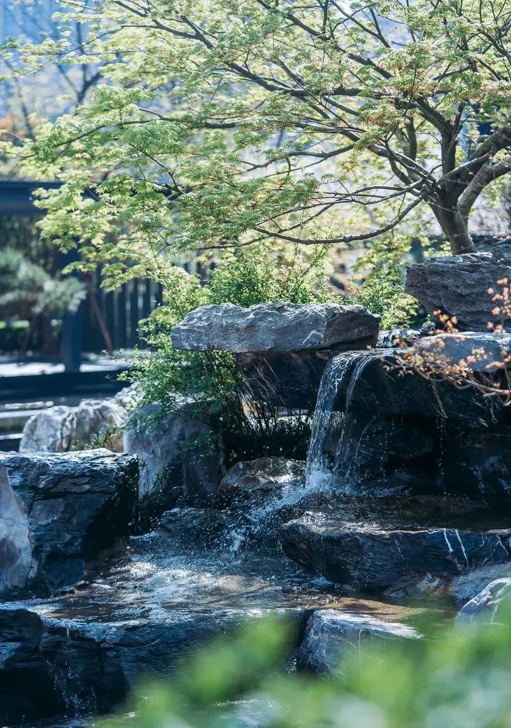 新华园•宋都桐庐富春望景观设计丨中国杭州丨棕榈设计有限公司杭州(成都)区域-34