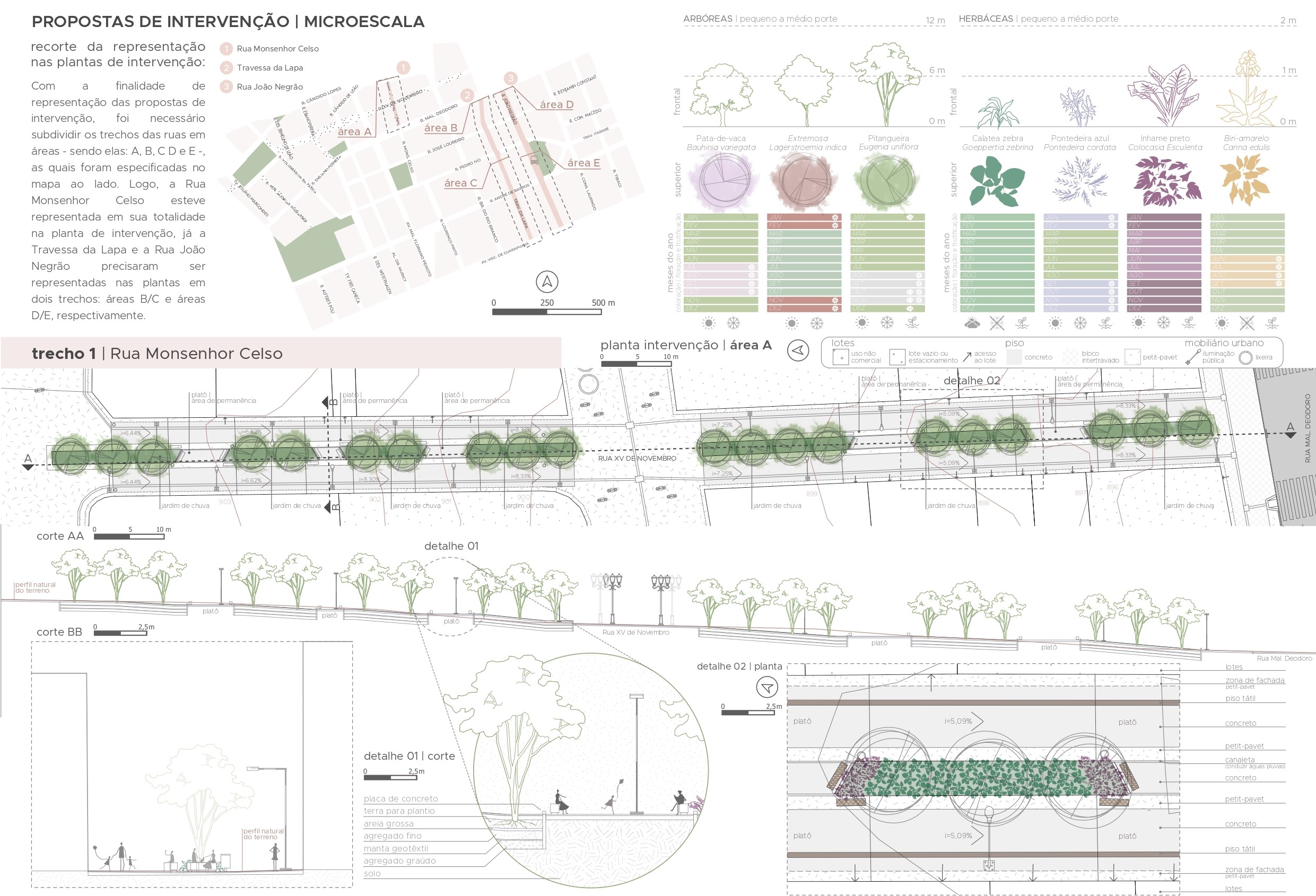 (IM)PLANTANDO SBN 公共空间韧性提升计划丨巴西丨UFPR-12