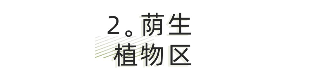 广州岭南园林7090年代设计实践与特色探讨丨中国广州丨广州园林建筑规划设计研究总院有限公司-28