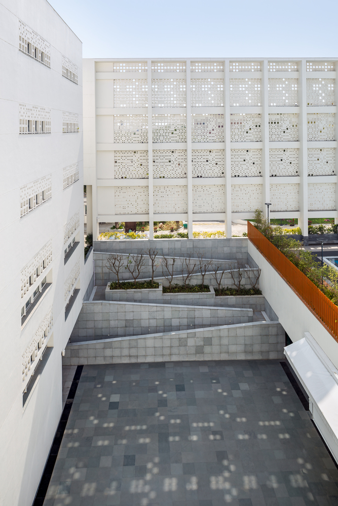 The British School  Morphogenesis-36