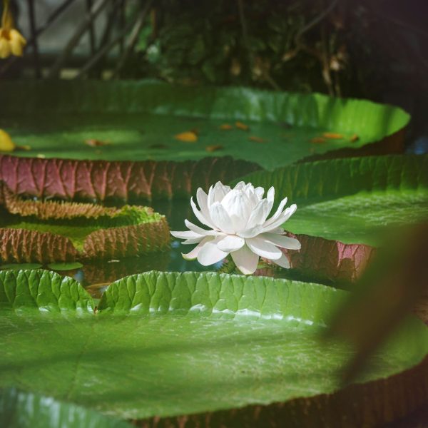 丨瑞典斯德哥尔摩-26