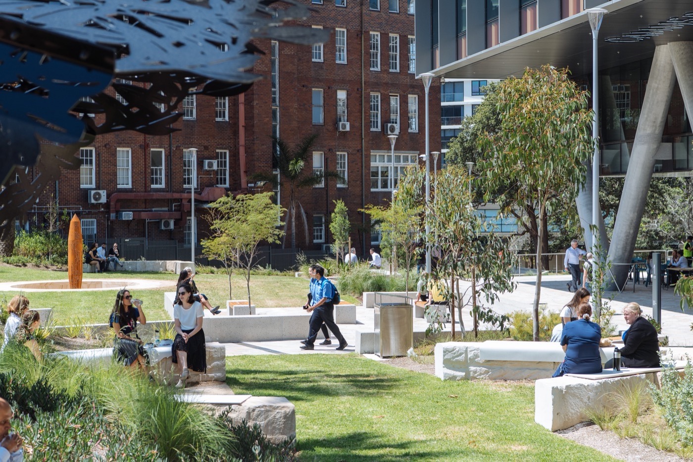 悉尼 St Leonards 健康组织迁址丨澳大利亚悉尼丨Arcadia Landscape Architecture-14