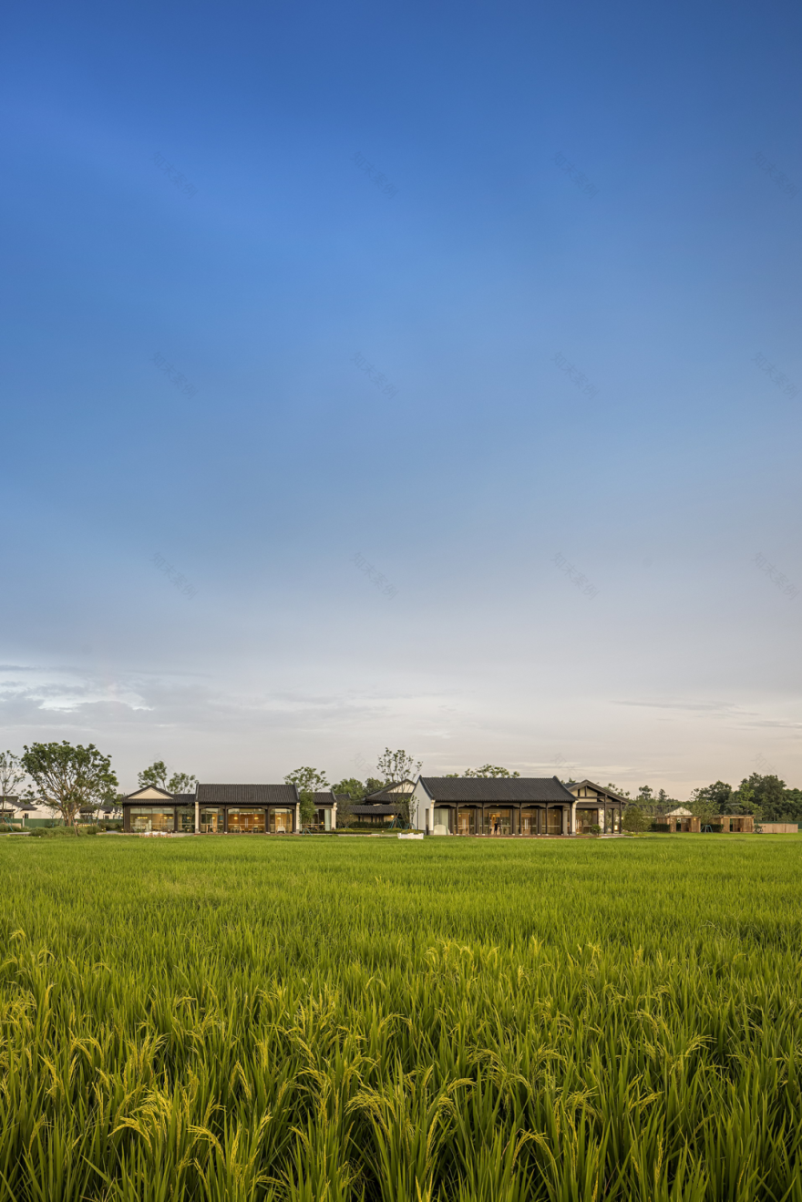 抚仙湖国际度假小镇汐岸会所丨中国玉溪丨矩阵纵横-154