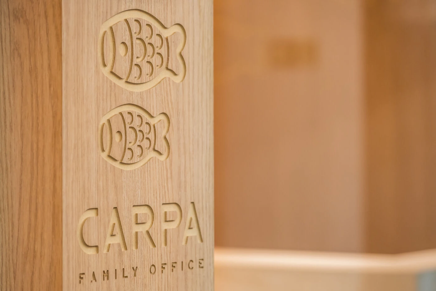 Carpa 家族办公室丨巴西圣保罗-15