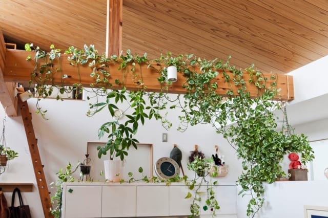 N邸注文住宅丨日本神奈川丨株式会社メディック一級建築士事務所長谷山泰三-37