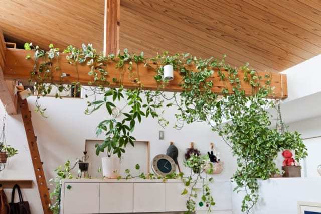 N邸注文住宅丨日本神奈川丨株式会社メディック一級建築士事務所長谷山泰三-37