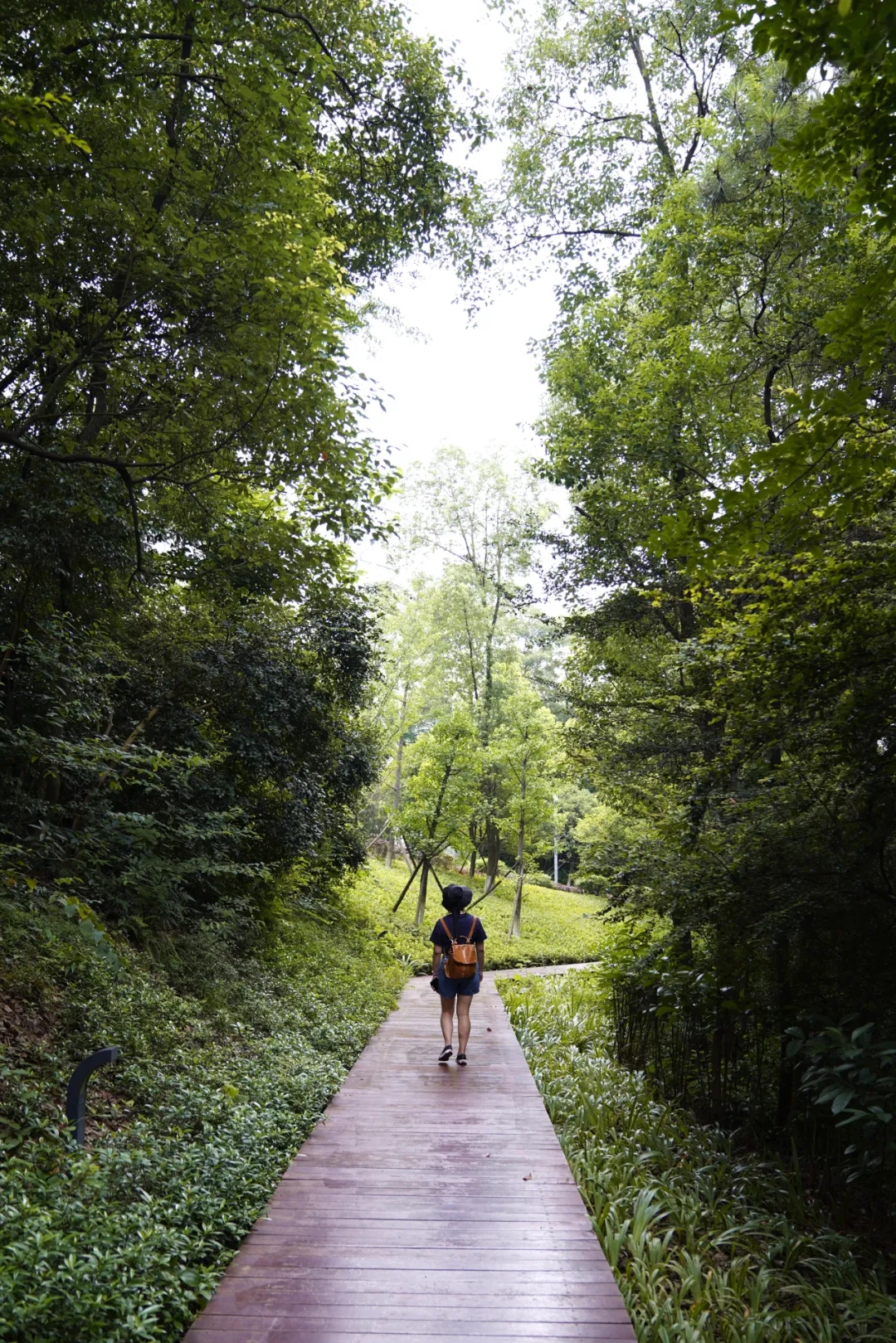 长沙八方公园-37