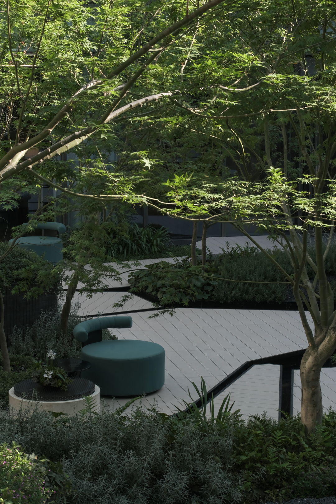 让山林的风，吹向城市|苏州蠡棠森屿-59