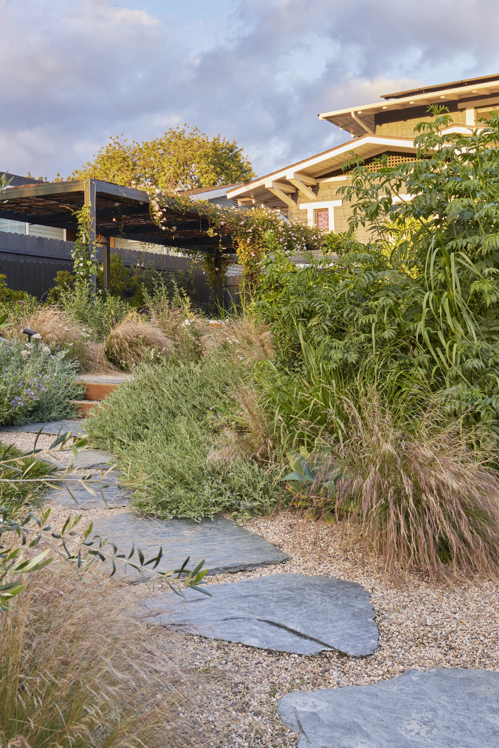 用时间酝酿，为孩子们创造的野趣花园丨美国丨TERREMOTO-30