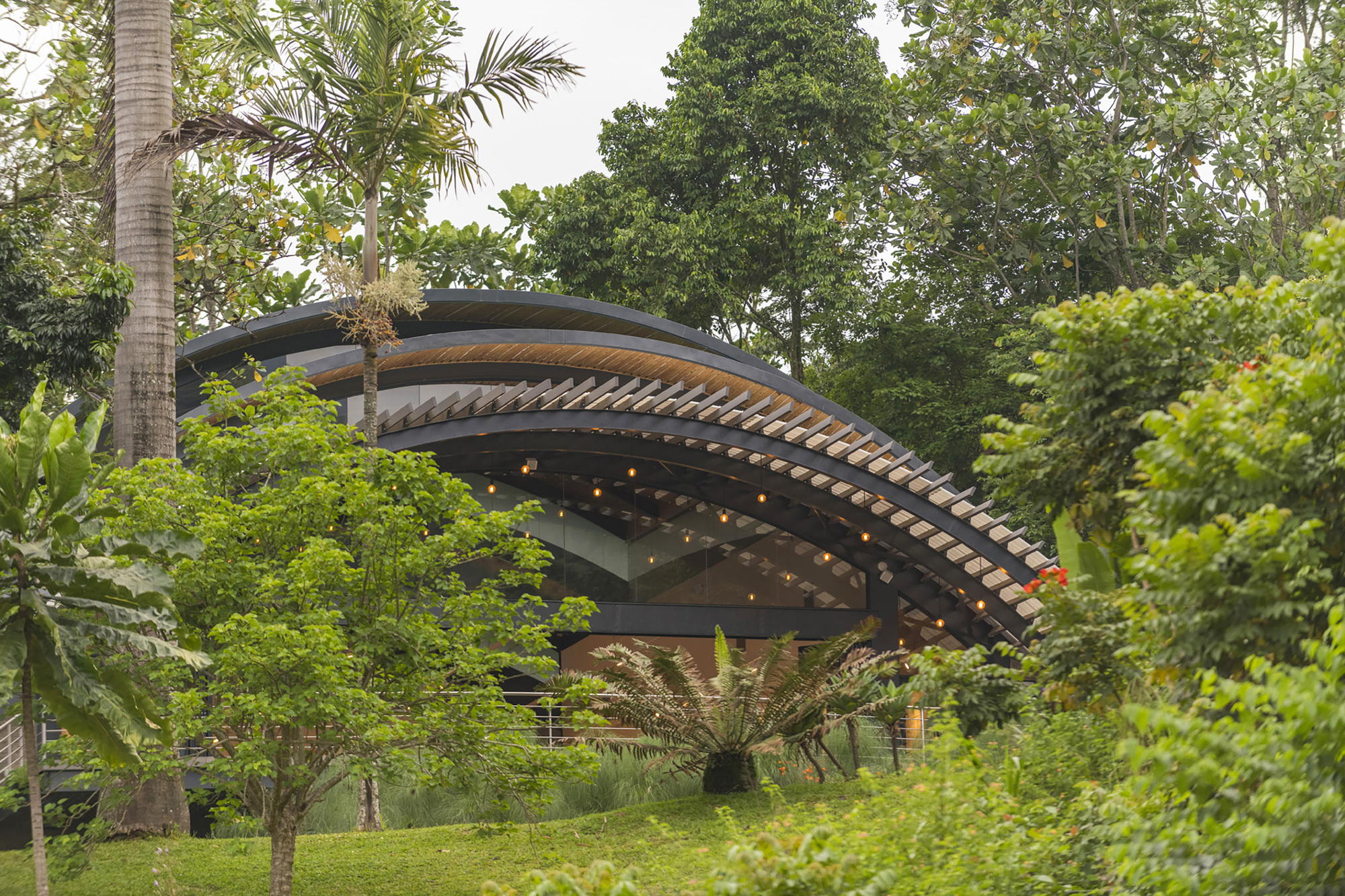 阿伯福伊尔拱门画廊丨Zimbabwe丨Architectural & Planning Studio-33