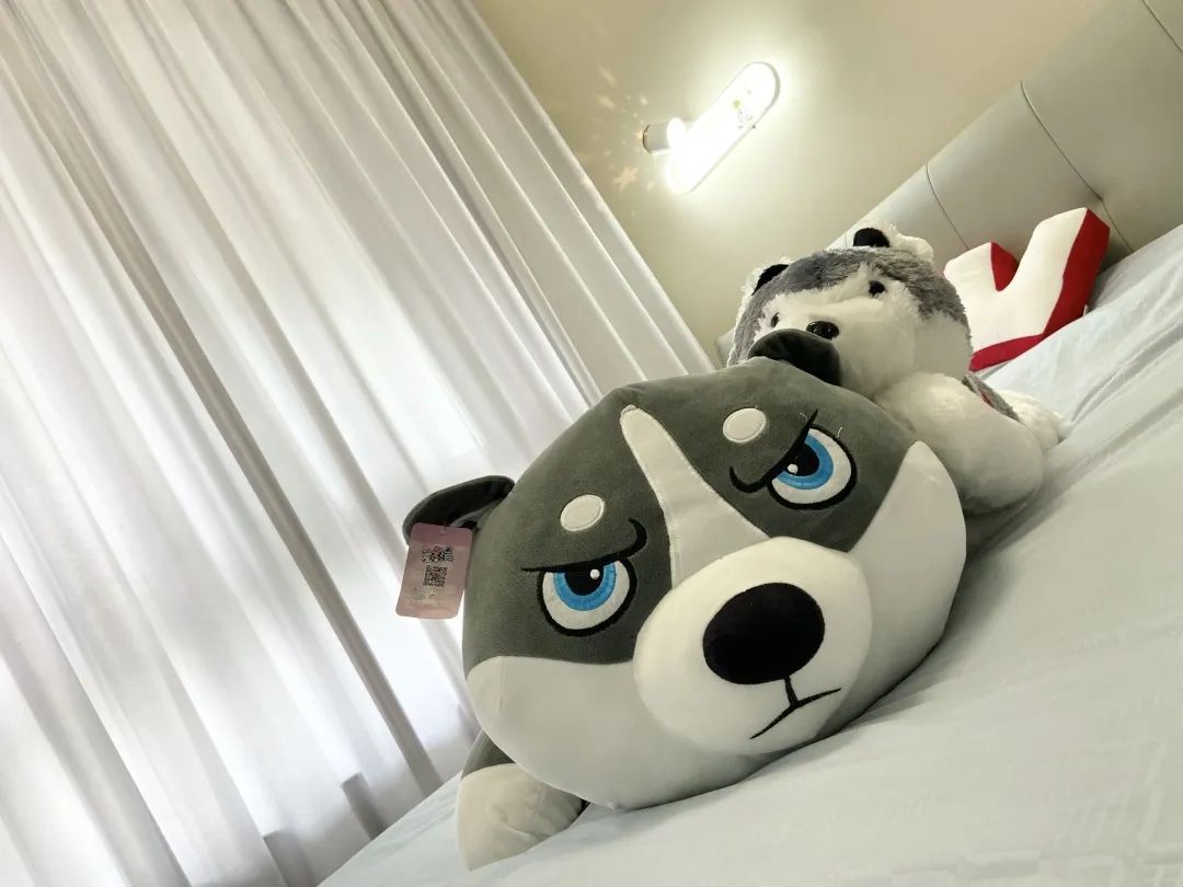 蓝光黑钻现代简约家居丨黄韵韵-56