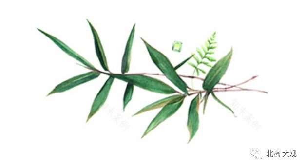 鲁南花木港·国际海棠艺术中心 | 七天绽放的高颜值办公空间-55