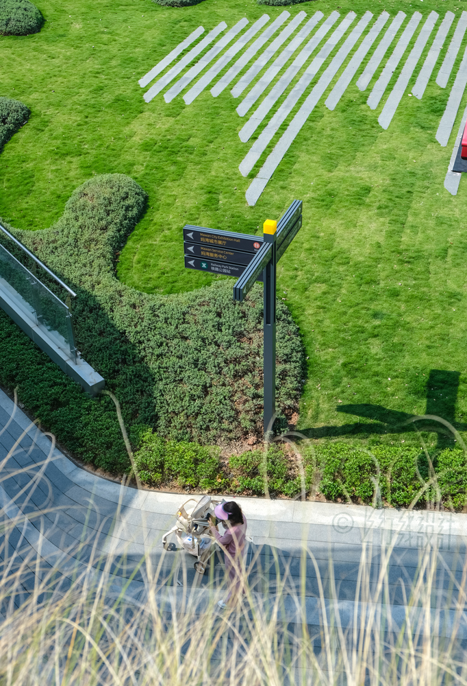 中国前海妈湾深港国际服务城标识系统丨中国深圳丨深圳上行线-26