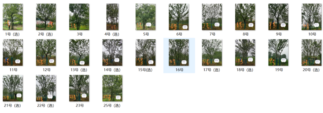 集塔景观丨襄阳·中梁天樾 景观设计 丨中国襄阳-69