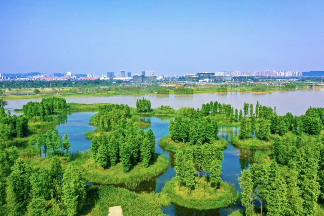 长沙人，周末+1！大泽湖近自然湿地公园惊艳亮相-44