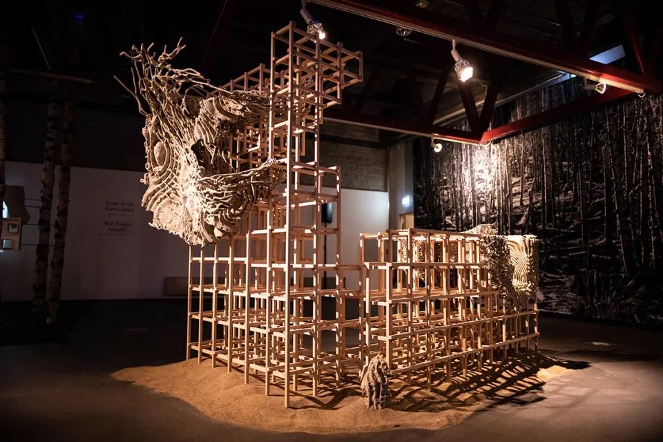 2019 塔林建筑双年展“Beauty Matters”探讨美学体验-45