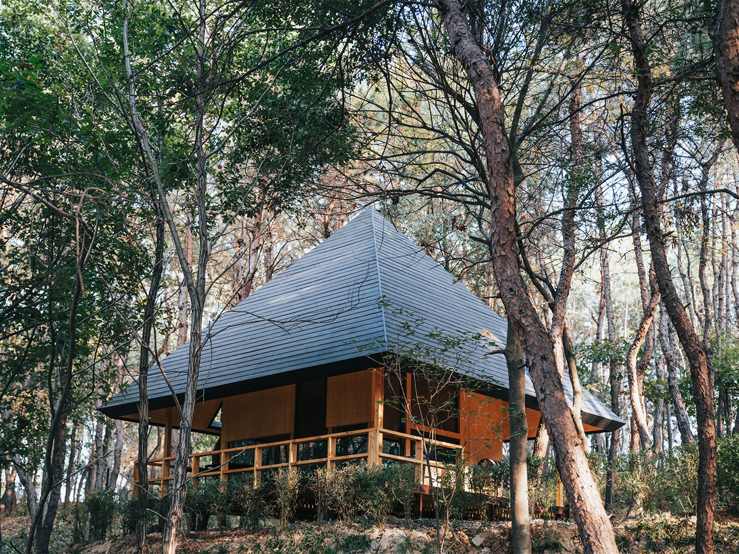 黄冈泊心域•个个世界自然营地丨中国黄冈-2