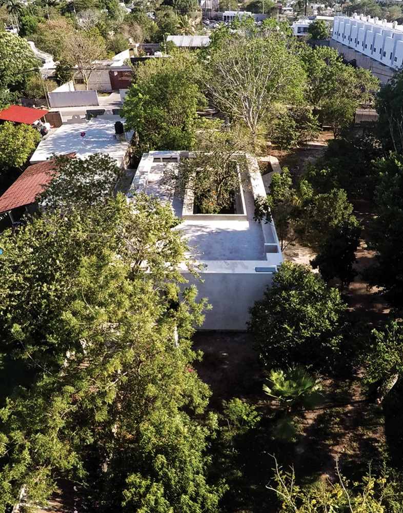 隐秘庭院 · 绿色核心的家庭住宅-28