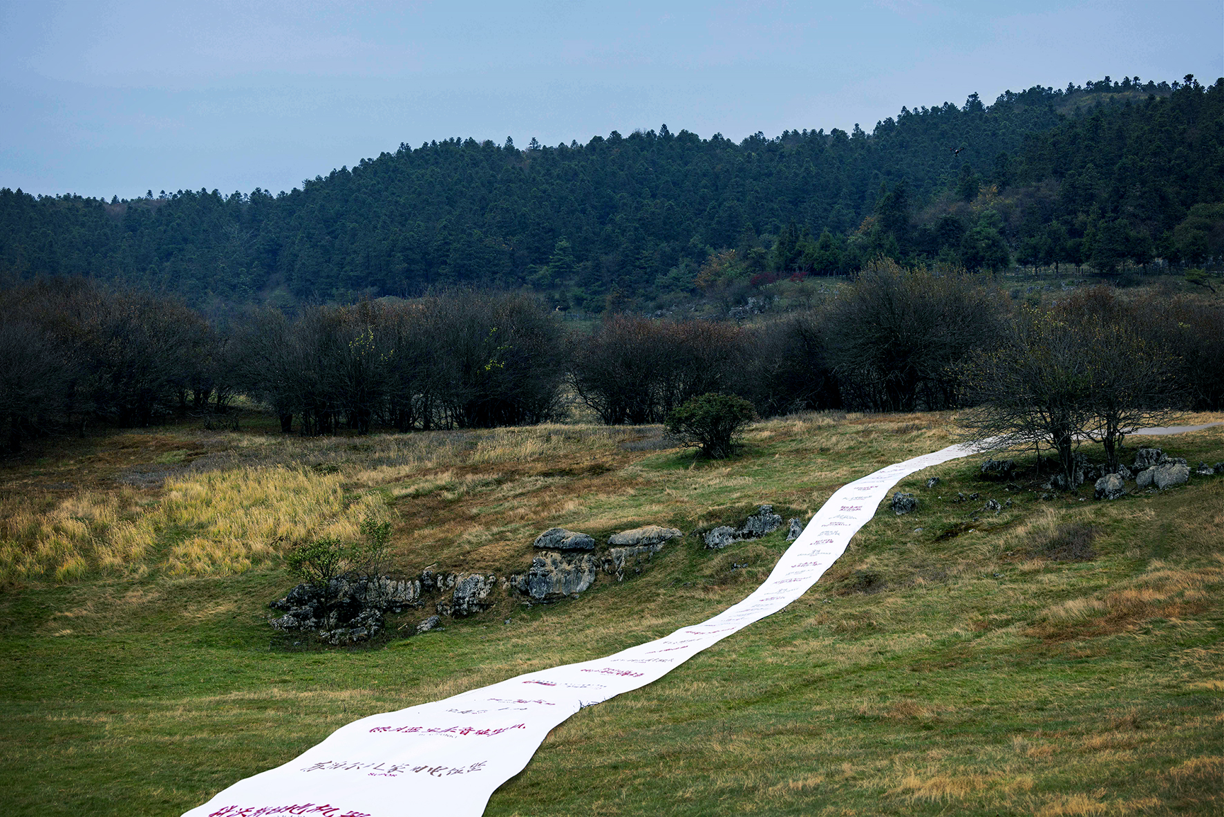 天猫双 11 必买榜丨中国四川丨天猫,天与空,不是美术馆-21