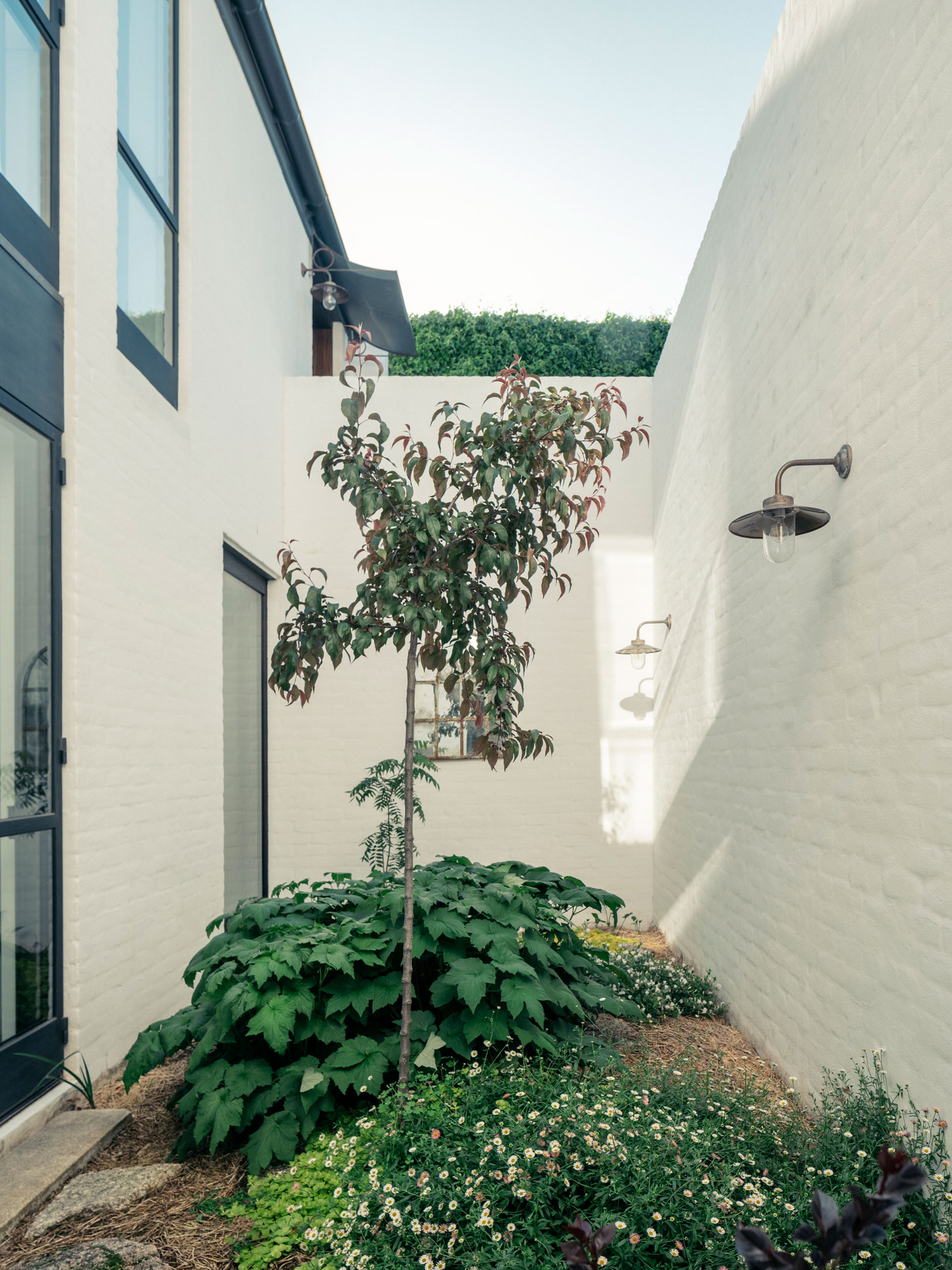 阿米代尔之家丨澳大利亚丨Richards Stanisich-24