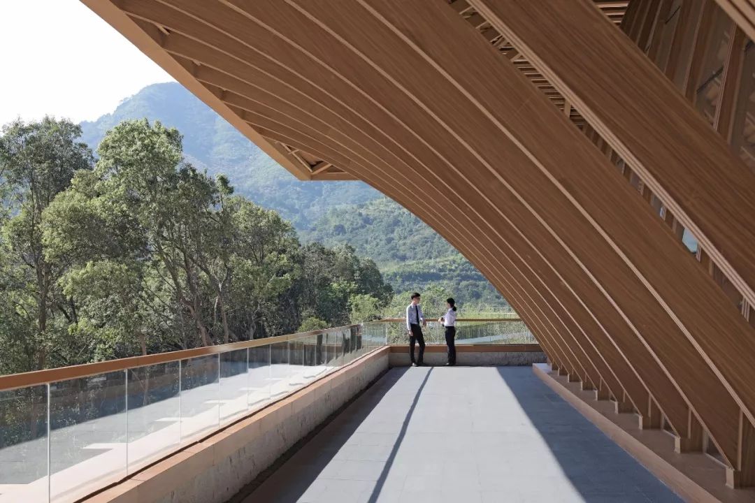 泰禾青云小镇 | 山水禅意与现代建筑的完美融合-35