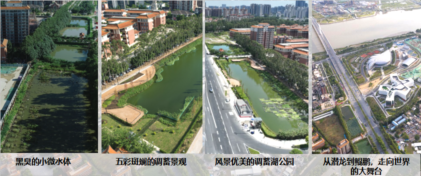 设计大师走进校园，共话凤凰大道调蓄塘ESG实践：打造城市“水心脏”防汛新标杆-17