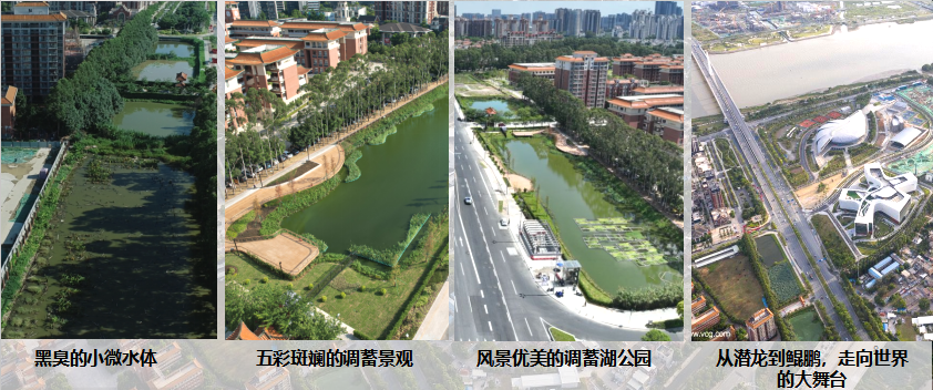 设计大师走进校园,共话凤凰大道调蓄塘ESG实践:打造城市“水心脏”防汛新标杆-17