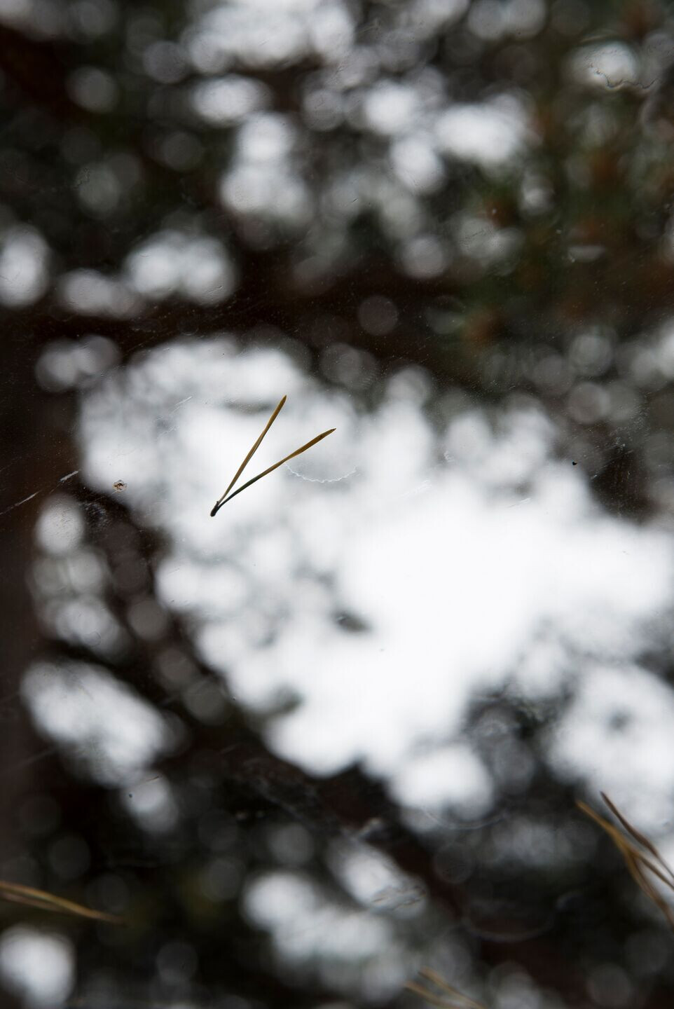 挪威小岛上的生态木质浴室-27