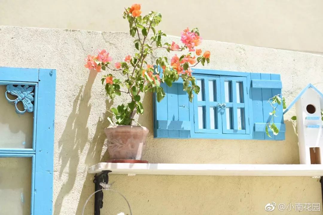 78岁爷爷改造荒废院子，为孙女建起一座花园-88