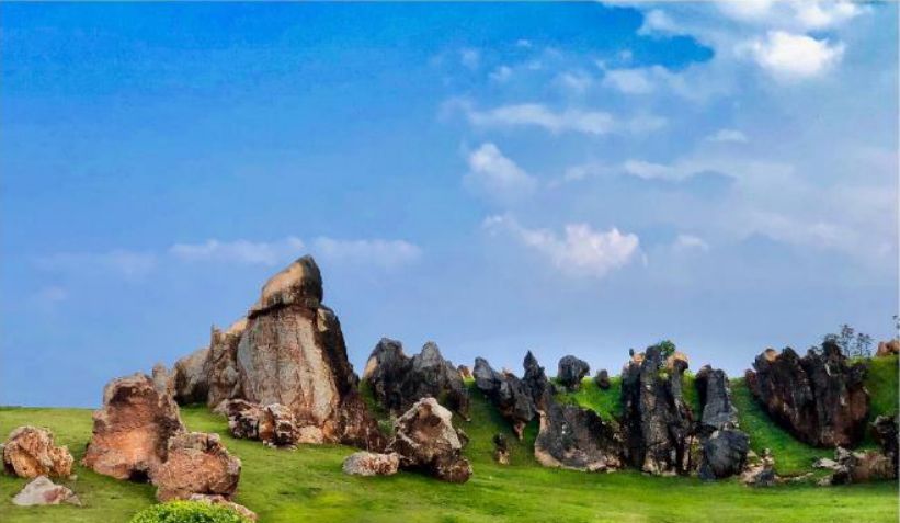 南宁罗汉松园 | 写意山水与天人合一的现代园林-90