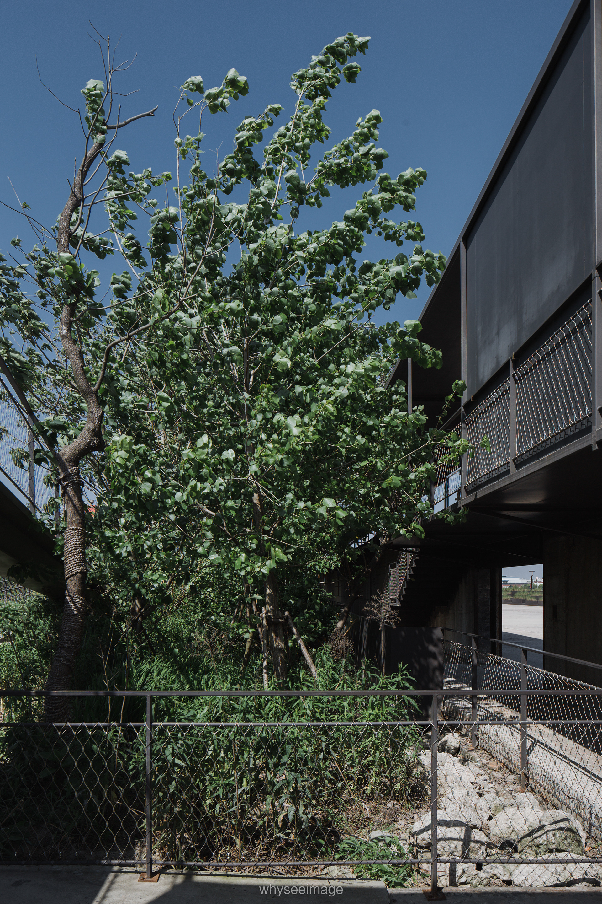 边园丨中国上海丨大舍建筑-21