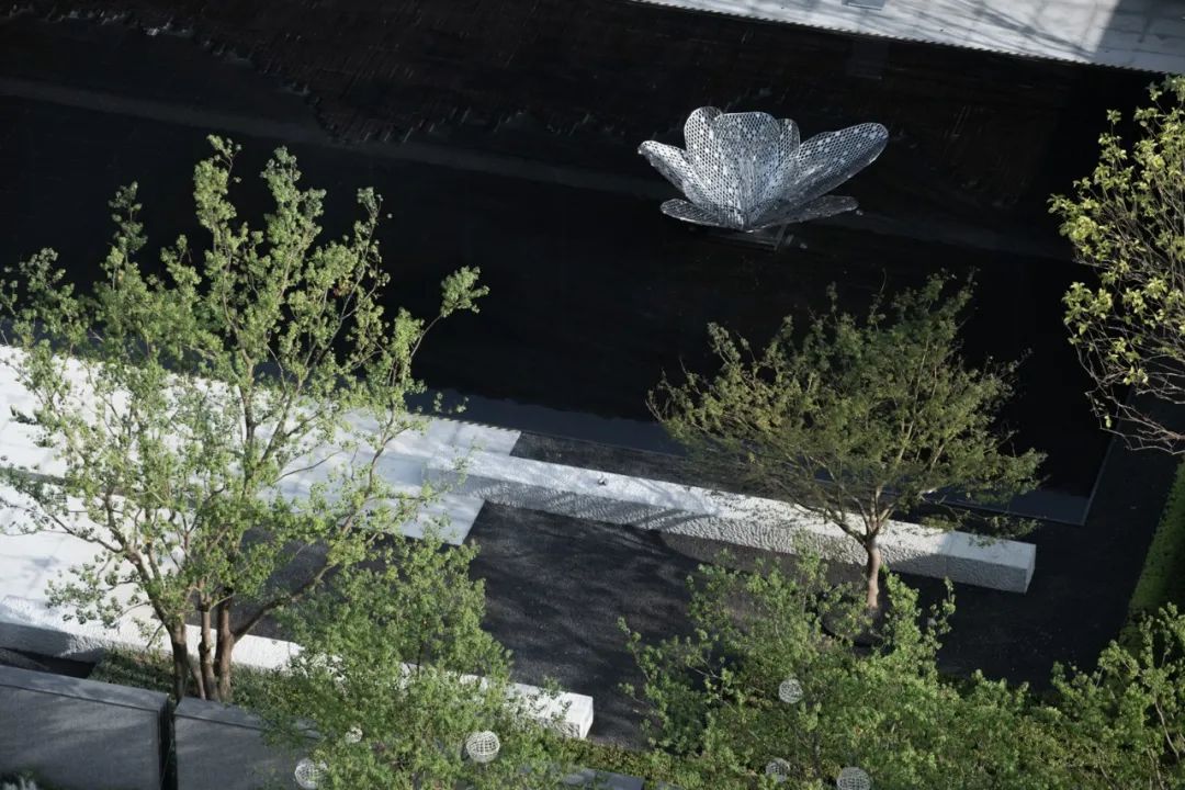 南京龙池映 | 方寸之间,容纳万物之情-57