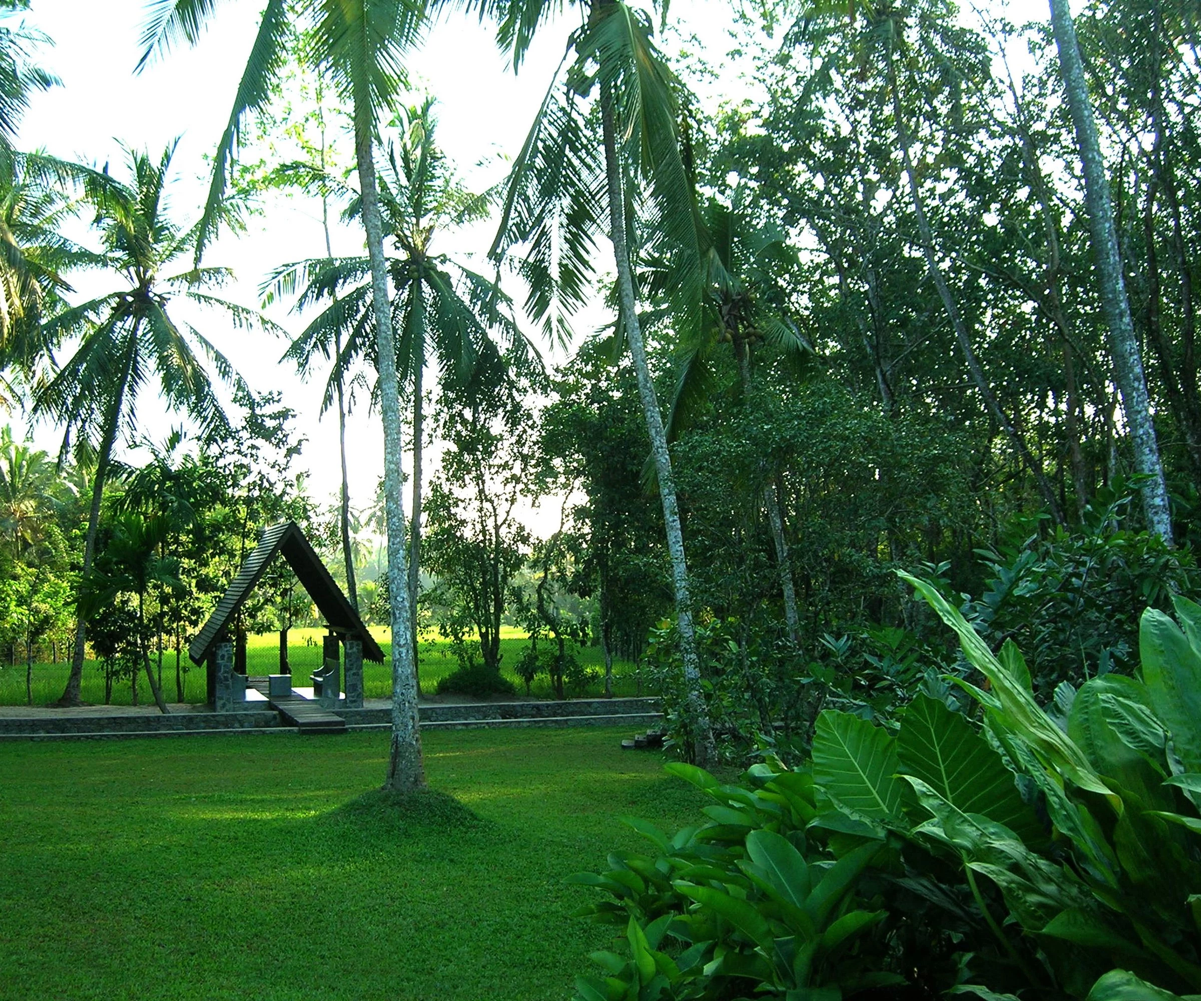 斯里兰卡“荆棘”庄园-31