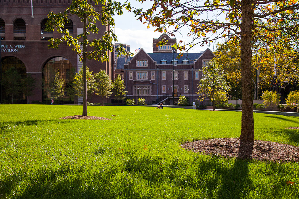 宾夕法尼亚大学生态绿地 Shoemaker Green-36