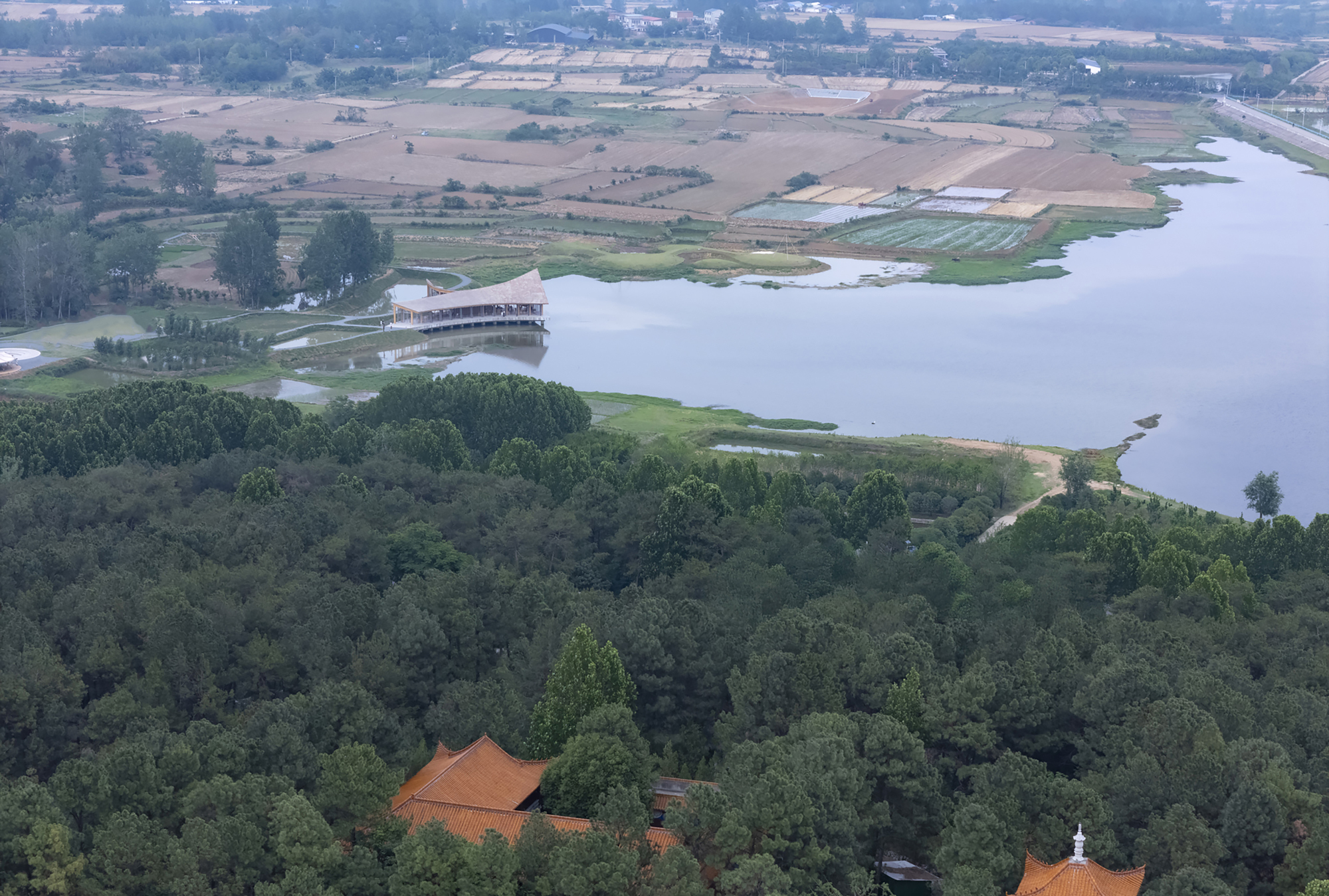 丨中国信阳丨Primary Architects-37