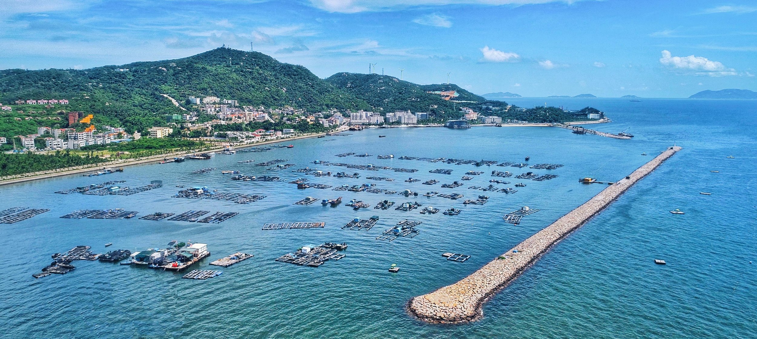 一座海岛的全价值链转型 | NDA Group-4