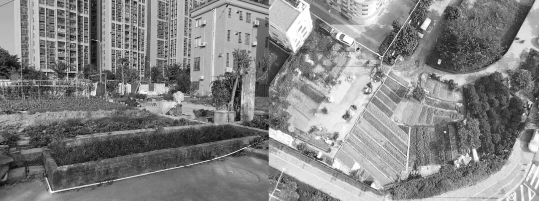 岭南新人居 · 容桂十村示范项目丨中国佛山丨竖梁社,广州市钢砼建筑设计院有限公司-98