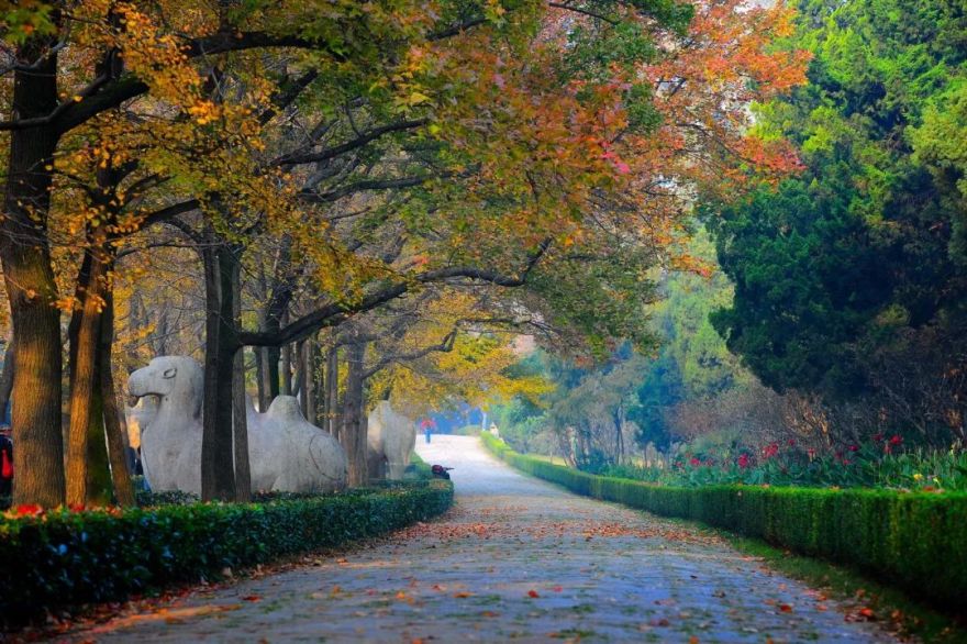 序列与重构,大隐于市的都市心灵花园 | 由问设计-6