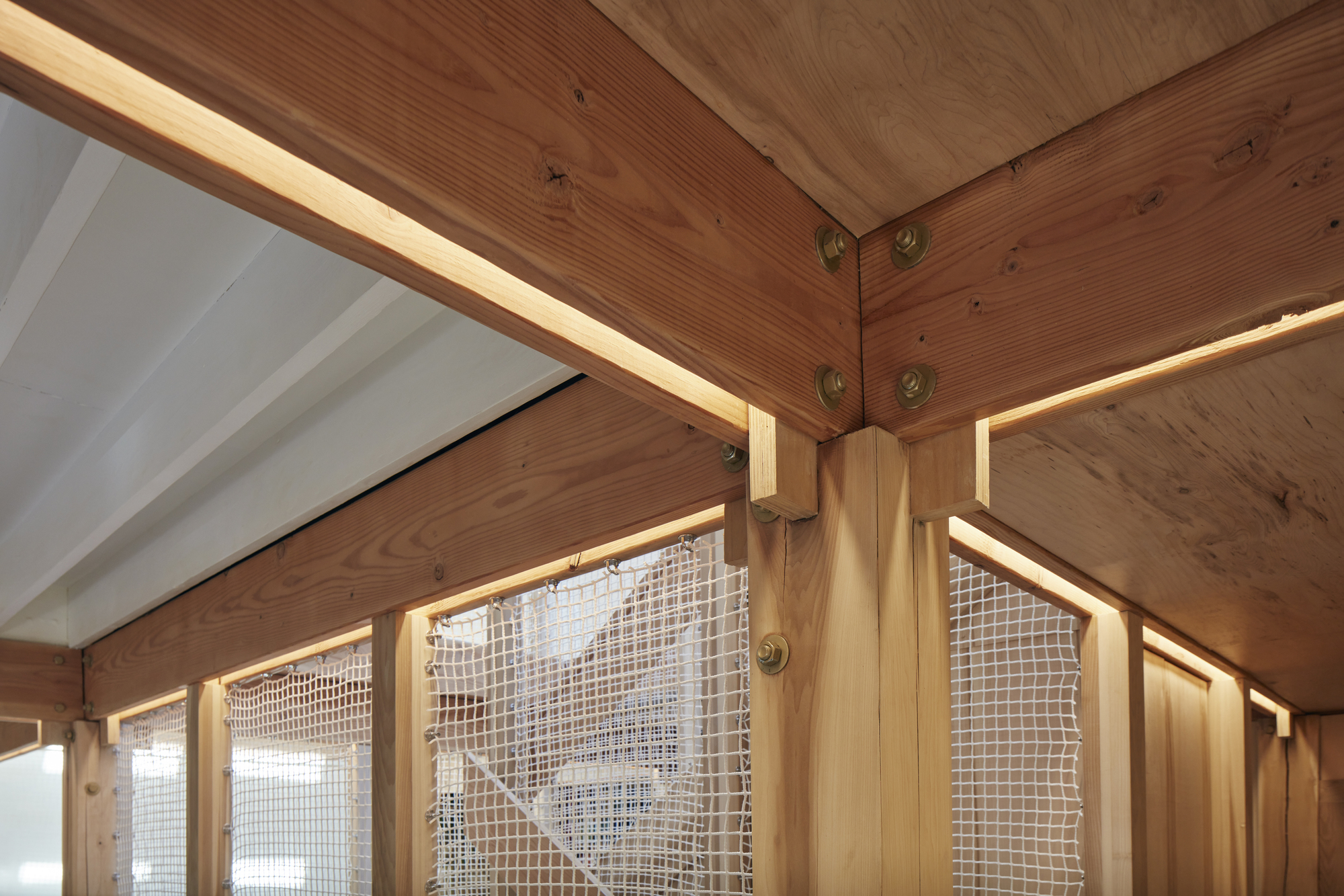 杨树丛丨美国华盛顿丨BLDUS-54