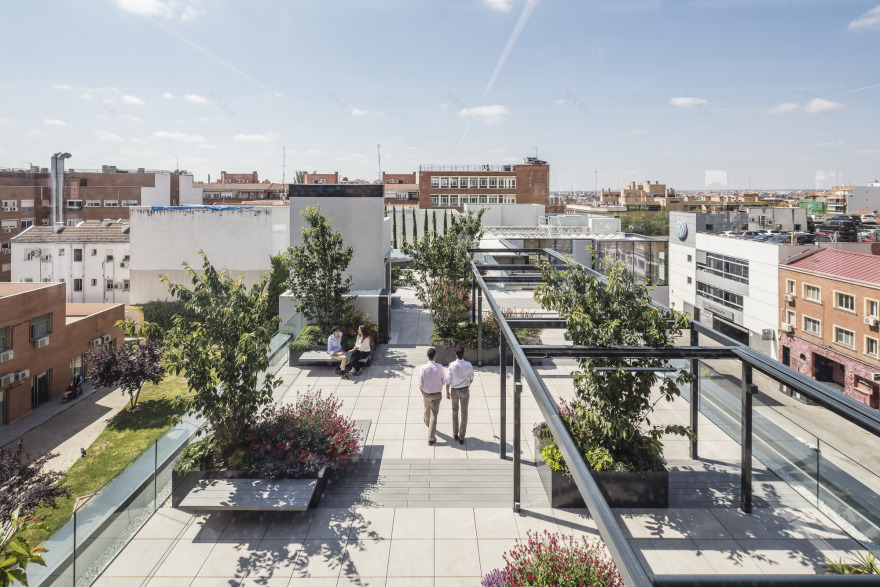 Ancora 40 办公大楼丨西班牙马德里丨Buckley Gray Yeoman-9