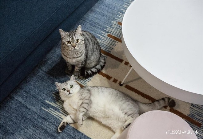 13万元二居60平米装修案例-13