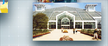 科技创新｜松江仓城历史文化风貌区修缮技术研究-118