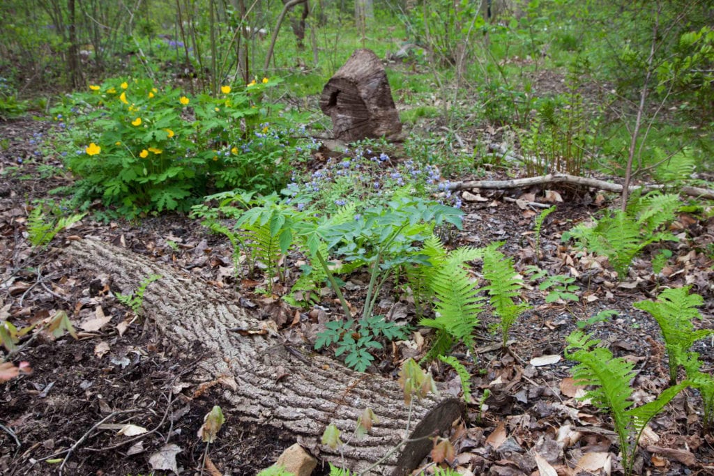 丨美国宾夕法尼亚-33