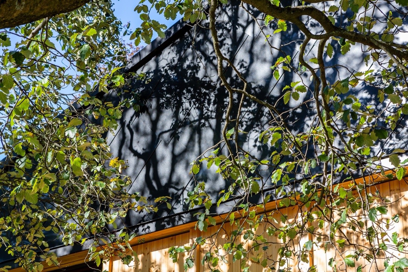 挪威气候花园-10