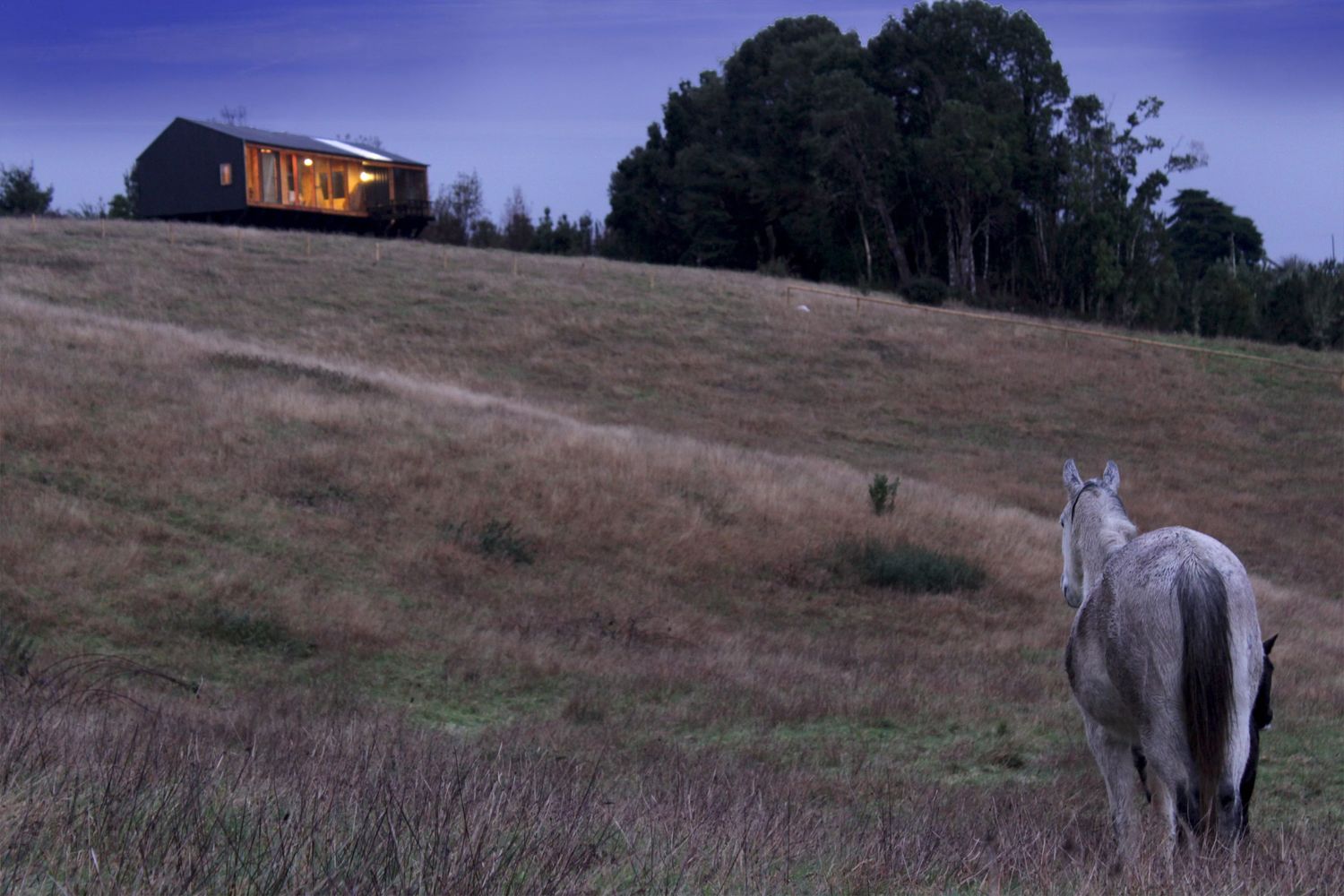 MÜLLER House  Ortuzar Gebauer Arquitectos-74